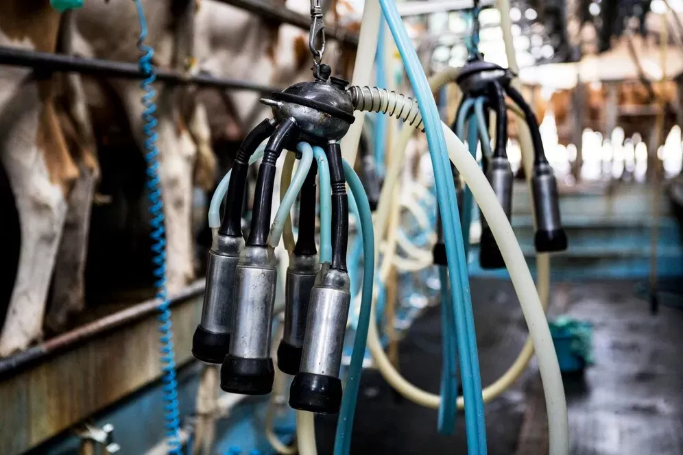 Mobile Milk Machine Pipe Bending